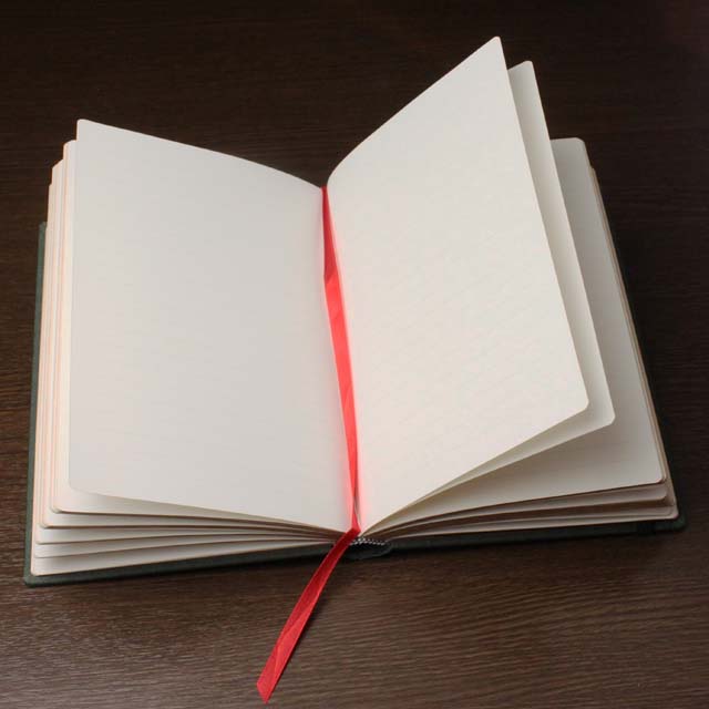 paperblanks ダフニスとクロエ  罫線ノート
