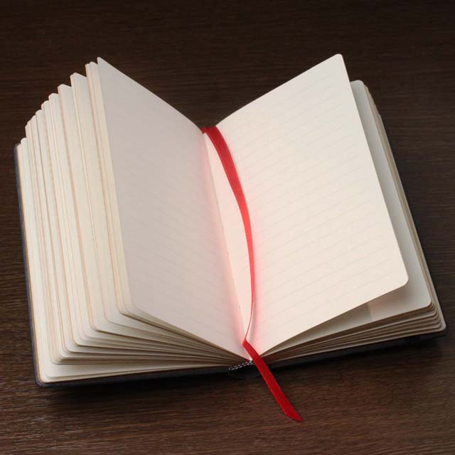 paperblanks ダフニスとクロエ  罫線ノート