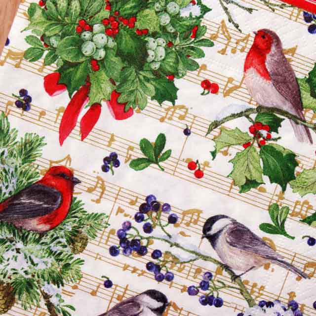 ペーパーナプキン 音楽雑貨 音楽グッズ 小鳥たちと楽譜