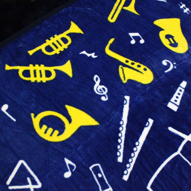 plave concert ブランケット 入場特典 8点セット PLAVE アジアツアー