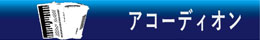 アコーディオン accordion 音楽雑貨