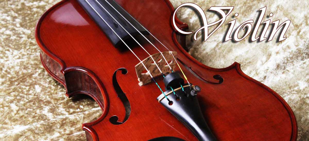 Violin